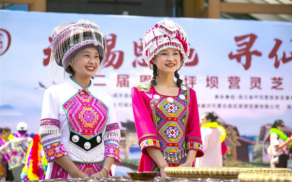 第二届灵芝文化节 | 寻仙落幕•邀您一起共享狂欢盛典