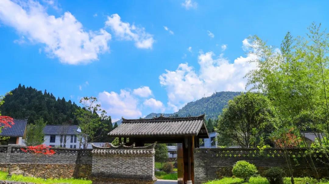 住进坪坝营 把睡觉的地方换到森林里 从大自然中醒来