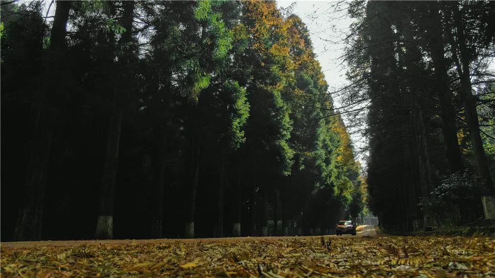 天朗气清•步步为景 I 赴一场来自坪坝营的冬日邀约