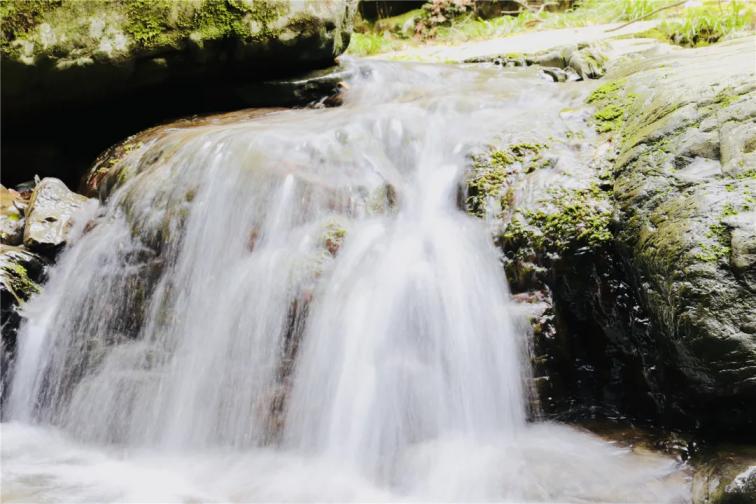 赏溪水｜笑入深山寻趣处，几度清溪忘归路
