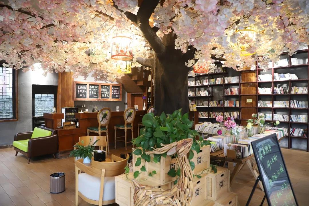 在坪坝营鹿隐书社 读一本书品味不一样的春光