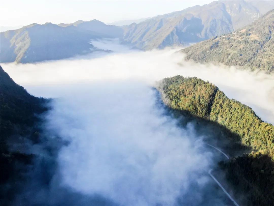 观云海｜本是世俗凡夫子，一不小心入仙境