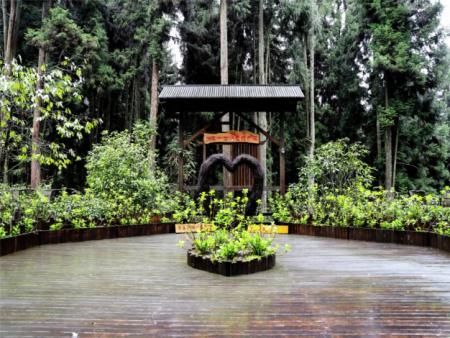 爱情广场，共赴浪漫之约！