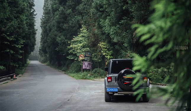 张吉怀高铁正式通车啦！赶快乘着这趟“云端高铁”， 去看一看坪坝营的山水秘境吧！