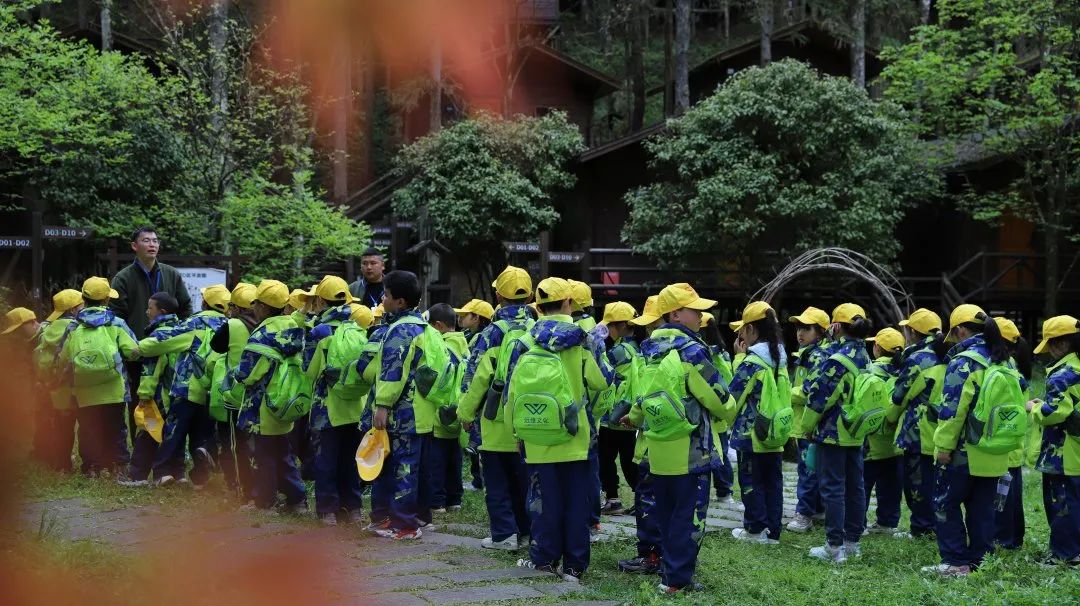 【单日研学突破一千人】恩施坪坝营景区研学营地掀起研学热潮