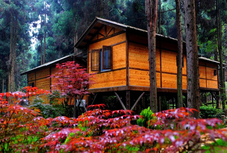 重庆每天37趟动车到恩施 避暑度假“说走就走”